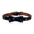 Golden Night Collection French Bulldog Bowtie Blue and Golden Collar